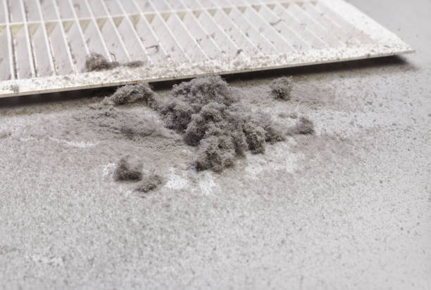 Best Ventilation Cleaning Services  in Cedar Lake, IN
