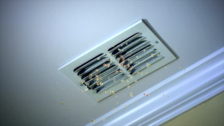 Best Commercial Air Duct Cleaning  in Cedar Lake, IN
